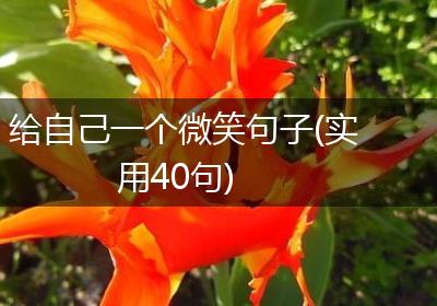 给自己一个微笑句子(实用40句)