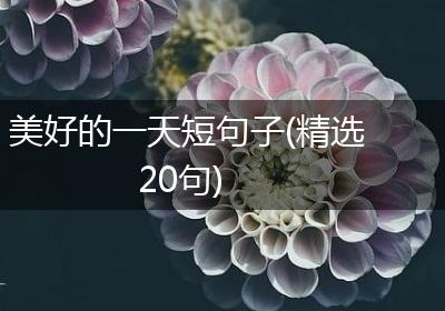 美好的一天短句子(精选20句)