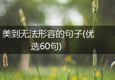 美到无法形容的句子(优选60句)