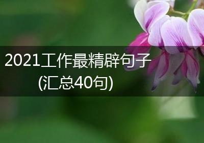 2021工作最精辟句子(汇总40句)