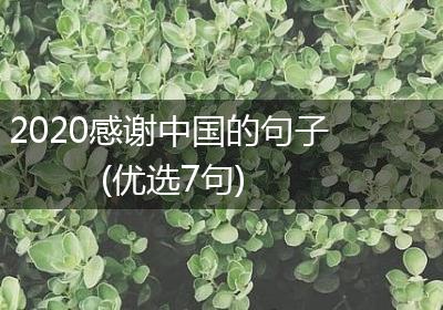 2020感谢中国的句子(优选7句)