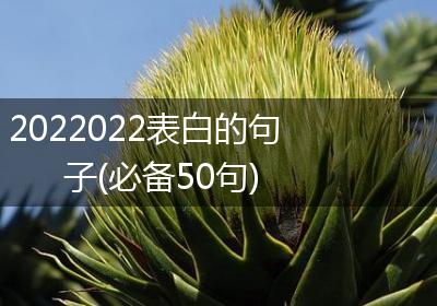 2022022表白的句子(必备50句)