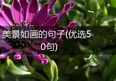 美景如画的句子(优选50句)