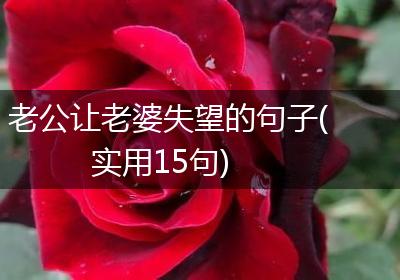 老公让老婆失望的句子(实用15句)