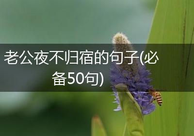 老公夜不归宿的句子(必备50句)
