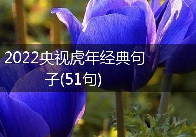 2022央视虎年经典句子(51句)