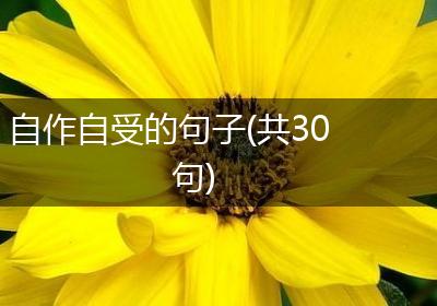 自作自受的句子(共30句)