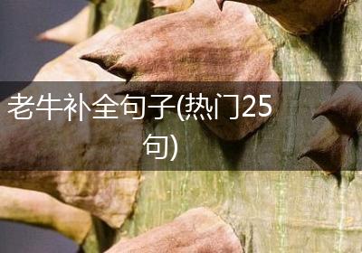 老牛补全句子(热门25句)