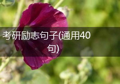 考研励志句子(通用40句)