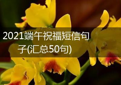 2021端午祝福短信句子(汇总50句)
