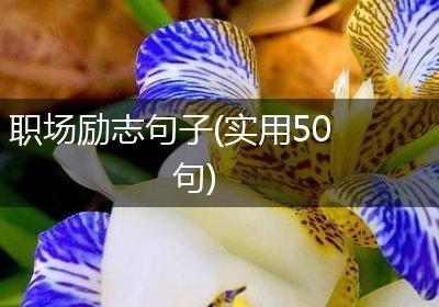 职场励志句子(实用50句)