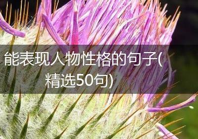 能表现人物性格的句子(精选50句)