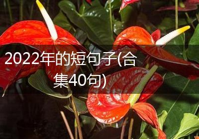 2022年的短句子(合集40句)