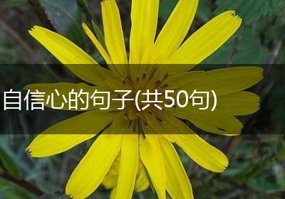 自信心的句子(共50句)