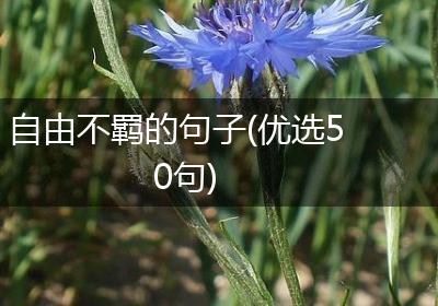 自由不羁的句子(优选50句)
