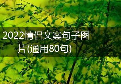 2022情侣文案句子图片(通用80句)