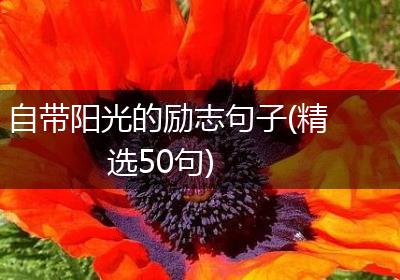 自带阳光的励志句子(精选50句)
