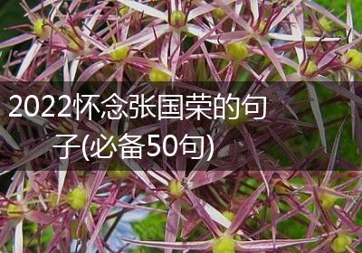 2022怀念张国荣的句子(必备50句)