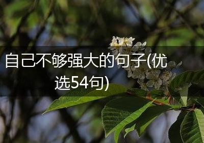 自己不够强大的句子(优选54句)