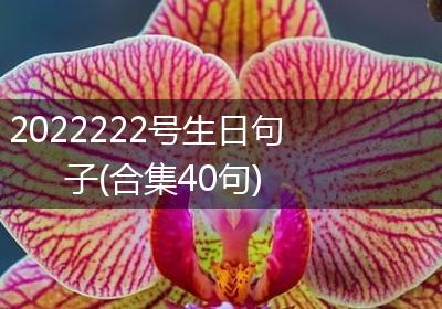 2022222号生日句子(合集40句)