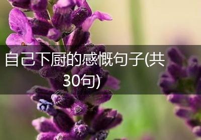自己下厨的感慨句子(共30句)