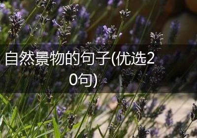 自然景物的句子(优选20句)
