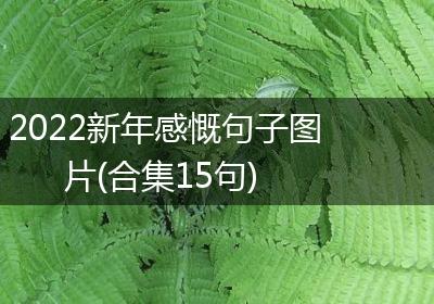 2022新年感慨句子图片(合集15句)