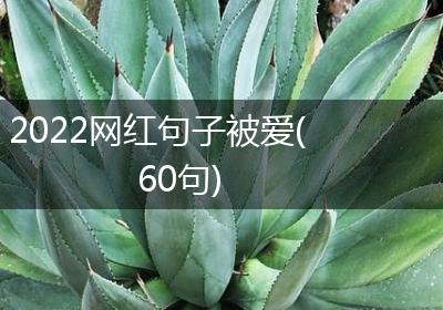 2022网红句子被爱(60句)