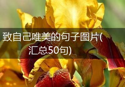 致自己唯美的句子图片(汇总50句)