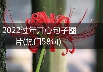 2022过年开心句子图片(热门58句)