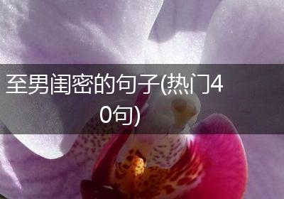 至男闺密的句子(热门40句)