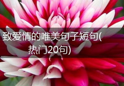 致爱情的唯美句子短句(热门20句)