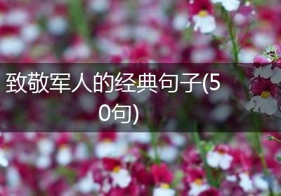 致敬军人的经典句子(50句)