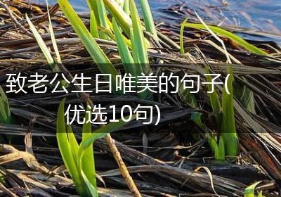 致老公生日唯美的句子(优选10句)
