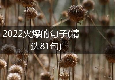 2022火爆的句子(精选81句)