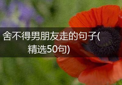 舍不得男朋友走的句子(精选50句)