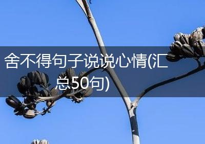 舍不得句子说说心情(汇总50句)