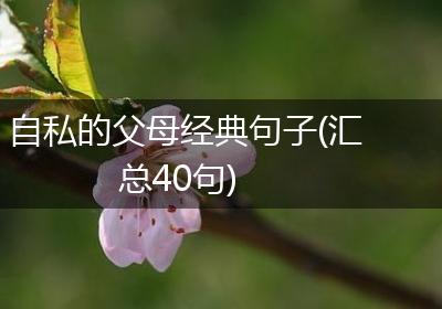 自私的父母经典句子(汇总40句)