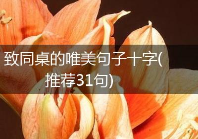 致同桌的唯美句子十字(推荐31句)