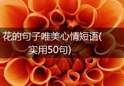 花的句子唯美心情短语(实用50句)