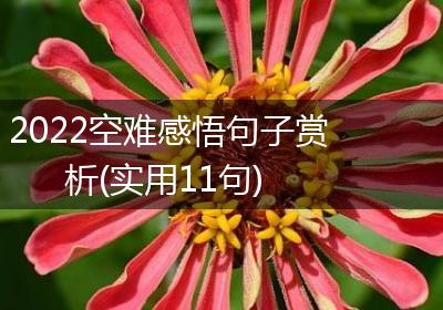 2022空难感悟句子赏析(实用11句)