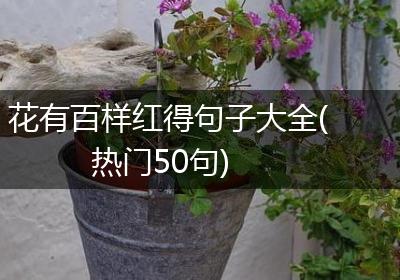花有百样红得句子大全(热门50句)
