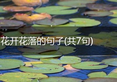 花开花落的句子(共7句)