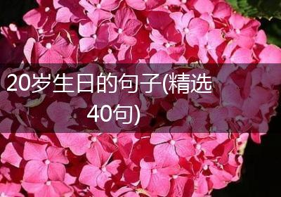 20岁生日的句子(精选40句)
