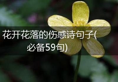 花开花落的伤感诗句子(必备59句)