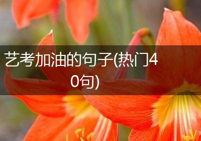 艺考加油的句子(热门40句)