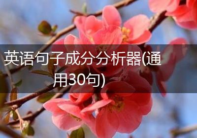 英语句子成分分析器(通用30句)