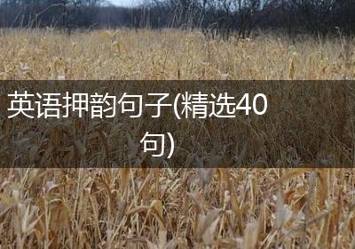 英语押韵句子(精选40句)