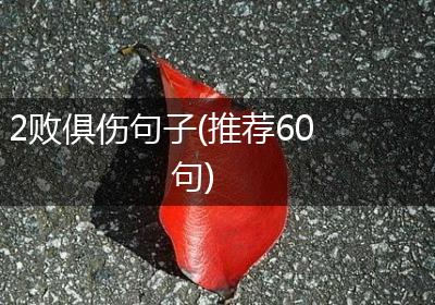 2败俱伤句子(推荐60句)