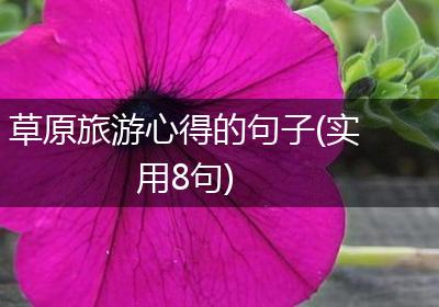 草原旅游心得的句子(实用8句)